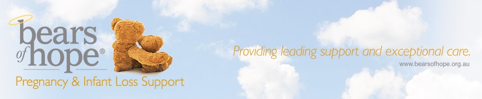 Bears of Hope Fundraising Portal